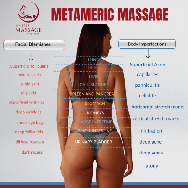 2 Metameric Massage Posters